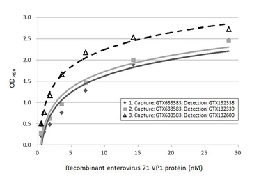 Anti-Enterovirus 71 VP1 antibody used in ELISA (ELISA). GTX132339