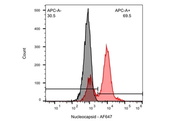 Anti-SARS-CoV-2 (COVID-19) Nucleocapsid antibody used in Flow cytometry (FCM). GTX135357