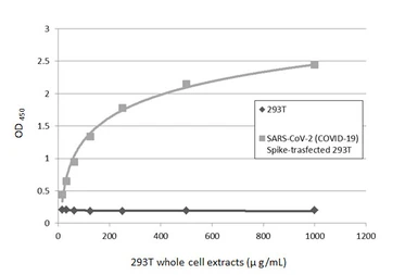 Anti-SARS-CoV-2 (COVID-19) Spike antibody used in ELISA (ELISA). GTX135360