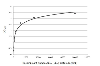 Human ACE2 (ECD) protein, mouse IgG Fc tag (active). GTX135683-pro