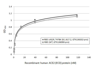 Human ACE2 (ECD) protein, mouse IgG Fc tag (active). GTX135683-pro