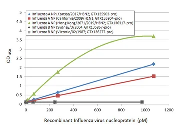 Influenza A virus Nucleoprotein (A/Kansas/2017/H3N2), DDDDK Tag. GTX135903-pro