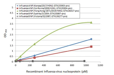 Influenza A virus Nucleoprotein (A/Kansas/2017/H3N2), DDDDK Tag. GTX135903-pro