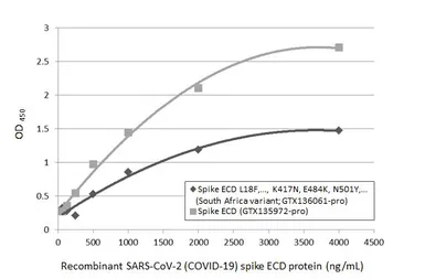 SARS-CoV-2 (COVID-19) Spike (ECD) protein, His tag (active). GTX135972-pro