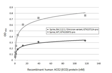 SARS-CoV-2 (COVID-19) Spike (ECD) protein, His tag (active). GTX135972-pro