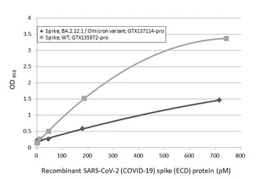 SARS-CoV-2 (COVID-19) Spike (ECD) protein, His tag (active). GTX135972-pro