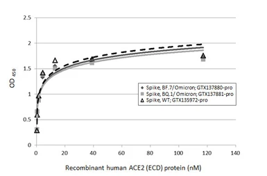 SARS-CoV-2 (COVID-19) Spike (ECD) protein, His tag (active). GTX135972-pro