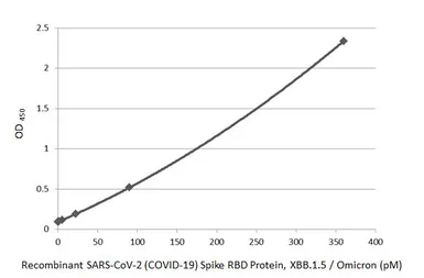 SARS-CoV-2 (COVID-19) Spike RBD Protein, Omicron / XBB.1.5 variant, His tag. GTX138287-pro