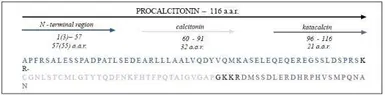 Anti-Procalcitonin antibody [27A3] used in  (). GTX14813