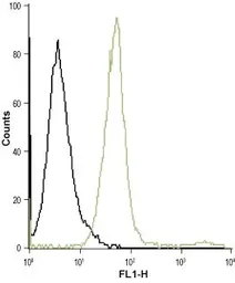 Anti-Orai1 antibody used in Flow cytometry (FCM). GTX16613
