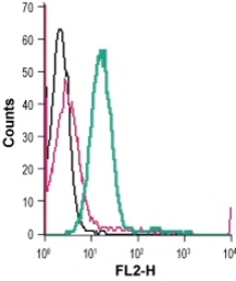 Anti-Kv1.3 antibody (PE) used in Flow cytometry (FCM). GTX16679-08