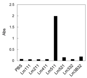 Anti-Laminin 511 antibody [12D] used in ELISA (ELISA). GTX17688