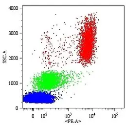 Anti-CD16 antibody [MEM-154] used in Flow cytometry (FCM). GTX20664