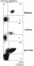 Anti-CD21 antibody [LT21] used in Flow cytometry (FCM). GTX21090