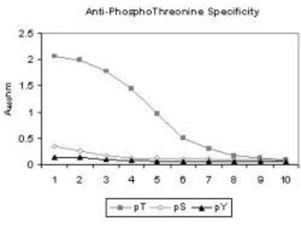 Anti-Phosphothreonine antibody [18F6] used in ELISA (ELISA). GTX22286