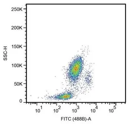 Anti-CD33 antibody [HIM3-4] used in Flow cytometry (FCM). GTX22579