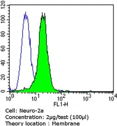 Anti-PSD95 antibody [6G6-1C9] used in Flow cytometry (FCM). GTX22723
