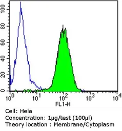 Anti-PDI antibody [RL90] used in Flow cytometry (FCM). GTX22792
