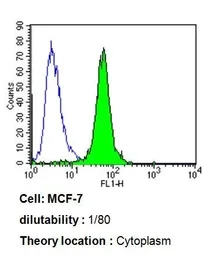 Anti-ARF1/ARF3/ARF5/ARF6 antibody [1D9] used in Flow cytometry (FCM). GTX22806