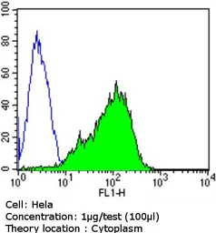 Anti-Spectrin beta 1 antibody [4C3] used in Flow cytometry (FCM). GTX22808