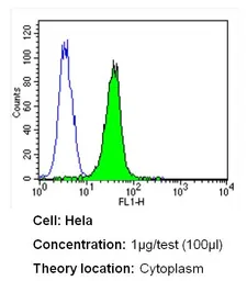 Anti-CRABP1 antibody [C-1] used in Flow cytometry (FCM). GTX22816