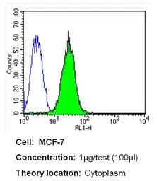 Anti-CRABP1 antibody [C-1] used in Flow cytometry (FCM). GTX22816