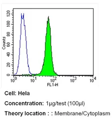 Anti-PMCA ATPase antibody [5F10] used in Flow cytometry (FCM). GTX22825