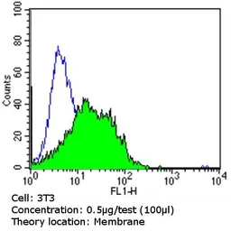 Anti-PMP70 antibody used in Flow cytometry (FCM). GTX23421