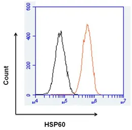 Anti-HSP60 antibody [4B9/89] used in Flow cytometry (FCM). GTX25478