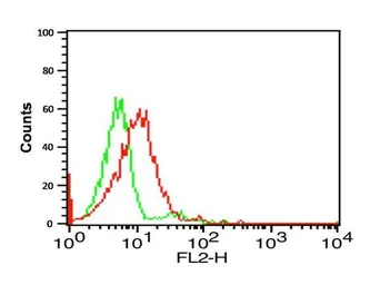 Anti-CX3CR1 antibody used in Flow cytometry (FCM). GTX31260