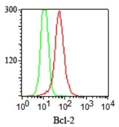 Anti-Bcl-2 antibody [SPM117] used in Flow cytometry (FCM). GTX34426