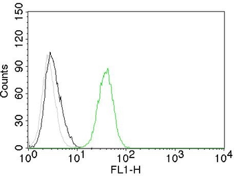 Anti-CD31 antibody [C31.10] used in Flow cytometry (FCM). GTX34493