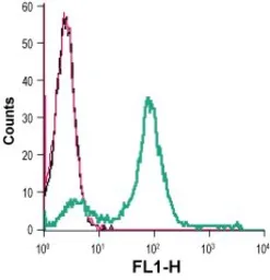 Anti-MCT1 antibody used in Flow cytometry (FCM). GTX35258