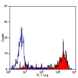 Anti-Ly-6B.2 antibody [7/4] used in Flow cytometry (FCM). GTX39793