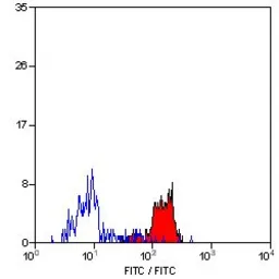 Anti-Dectin-1 antibody [2A11] (Low endotoxin, azide free) used in Flow cytometry (FCM). GTX41471