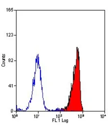 Anti-C5a R1 antibody [10/92] used in Flow cytometry (FCM). GTX41772