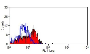 Anti-CD62P antibody [Psel.KO.2.7] used in Flow cytometry (FCM). GTX41881