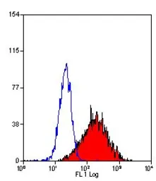Anti-DC-SIGN antibody [MR-1] used in Flow cytometry (FCM). GTX42260