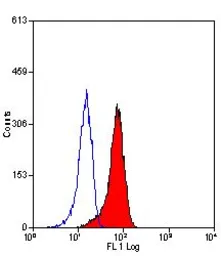 Anti-Mannose Receptor antibody [MR5D3] used in Flow cytometry (FCM). GTX42263