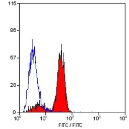 Anti-Dectin-1 antibody [2A11] (FITC) used in Flow cytometry (FCM). GTX43456