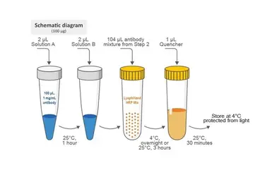HRP Antibody Labeling Kit. GTX446209