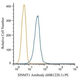 Anti-DNMT1 antibody [60B1220.1] used in Flow cytometry (FCM). GTX48548