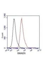 Anti-SMAD5 antibody [4B10-B10-B6] used in Flow cytometry (FCM). GTX49219