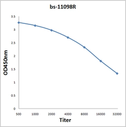 Anti-Neuroligin 1 + Neuroligin 2 antibody used in ELISA (ELISA). GTX51022
