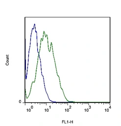 Anti-MCT8 antibody used in Flow cytometry (FCM). GTX51095