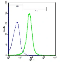 Anti-BAMBI antibody used in Flow cytometry (FCM). GTX51308