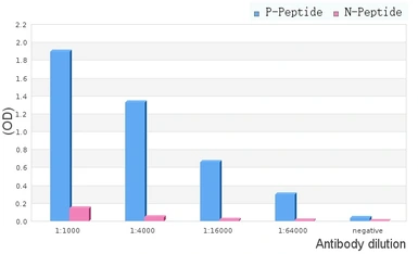 Anti-FOXO1 (phosphoThr24) + FOXO3a (phospho Thr32) + FOXO4 (phospho Thr28) antibody used in ELISA (ELISA). GTX52338