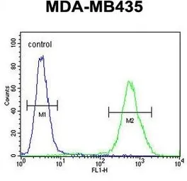 Anti-Exonuclease 5 antibody used in Flow cytometry (FCM). GTX53538