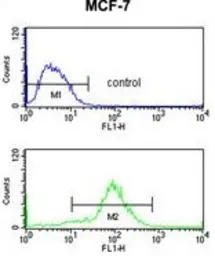 Anti-HCCA2 antibody used in Flow cytometry (FCM). GTX53605