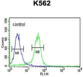 Anti-KDM4B antibody used in Flow cytometry (FCM). GTX53804